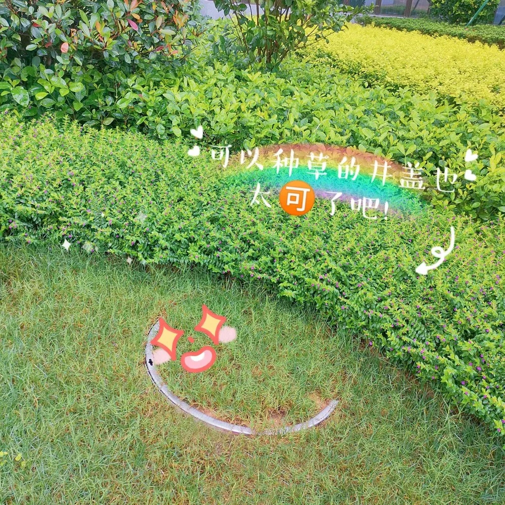 不锈钢植草井盖